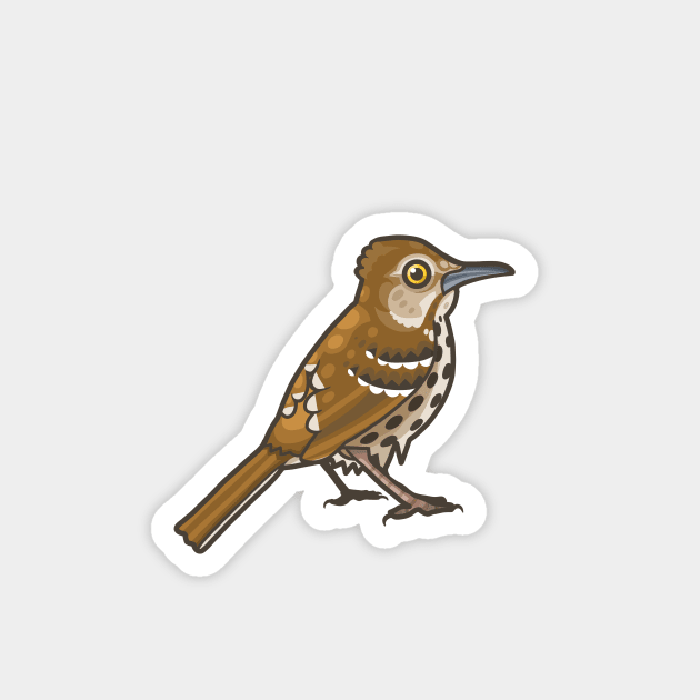 Brown Thrasher Magnet by Ginboy