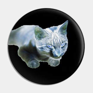 strange cat Pin