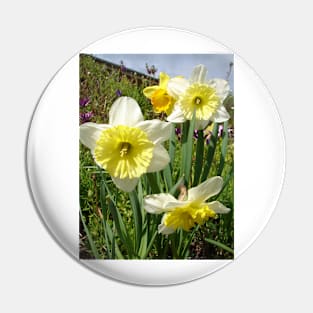 Yellow Daffodil Photo - Spring In the Garden Pin