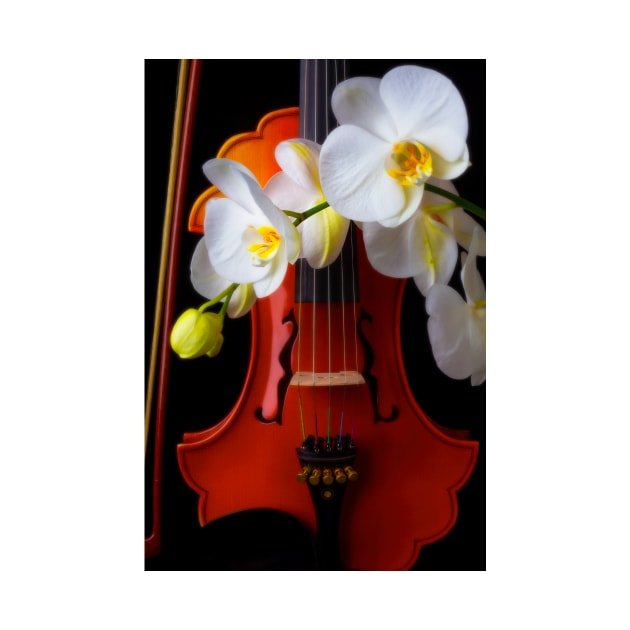 White Orchids And Baroque Violin by photogarry