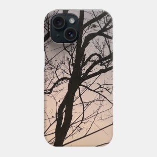 bare branch of tree after sunset Phone Case