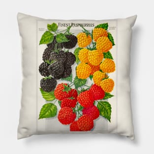 Finest Raspberries Ad Pillow