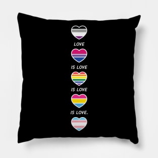 Love is Love Pride LGBT Asexual Bisexul Pansexual Transgender Pillow