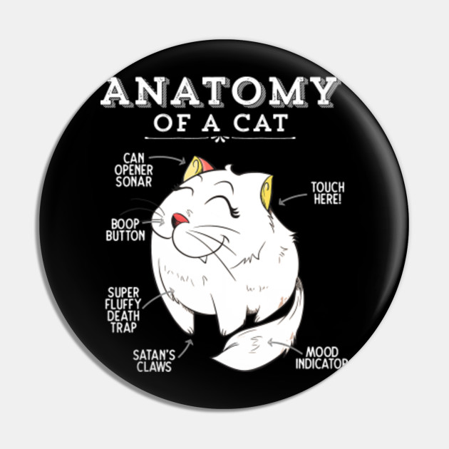 Funny Anatomy Cat Kitten Kitty Lover Gift Cat Pin Teepublic