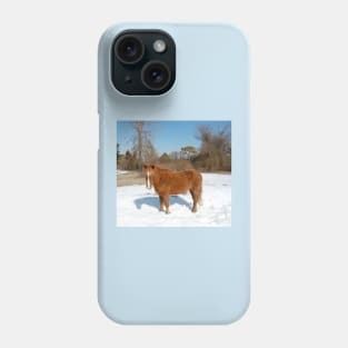 Wild horse, Assateague Island, wildlife, gifts Phone Case