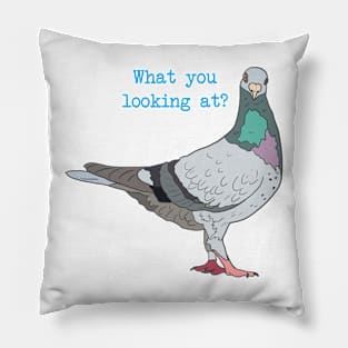 What you Looking at? Pigeon Pillow