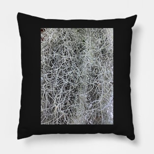 Spanish Moss Pillow