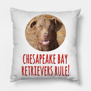 Chesapeake Bay Retrievers Rule! Pillow