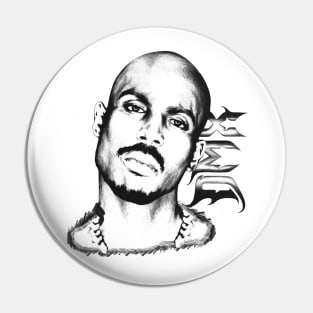 Dmx Pin