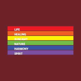 Pride Flag Meanings T-Shirt