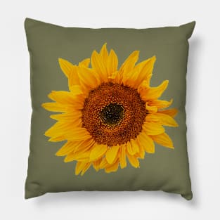 A flower with the Sun on its face Pillow