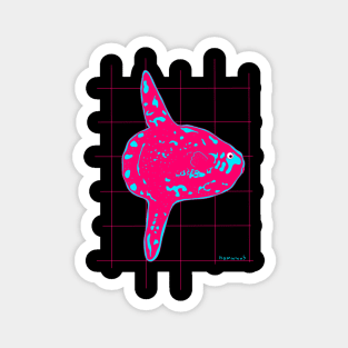 Pink Mola mola Magnet