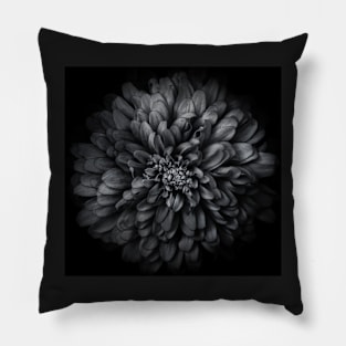 Backyard Flowers In Black And White 68 Pillow