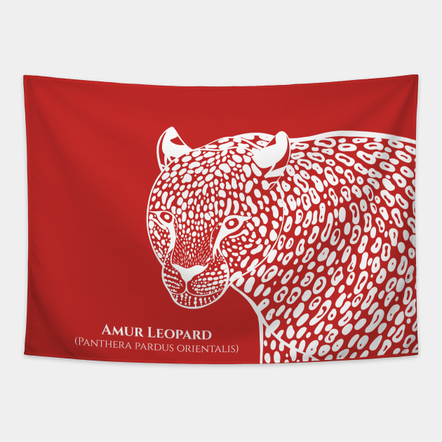 Amur Leopard with Common and Scientific Name - animal lovers design - Leopard - Tapestry | TeePublic Amur Leopard with Common and Scientific Name - animal lovers design - Leopard - Tapestry | TeePublic
