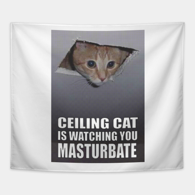 Ceiling Cat