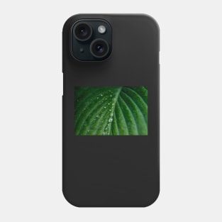 Water droplets on Hosta leaf Phone Case