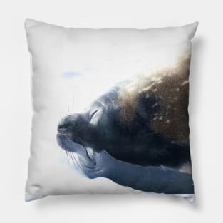 COLOURFUL SEAL SLEEPING IN THE SNOW Pillow