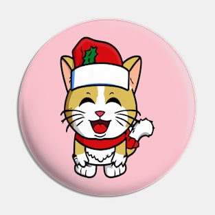 Christmas street cat Pin