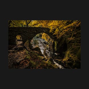 'Golden Bridge', Autumn at The Hermitage, Near Dunkeld T-Shirt