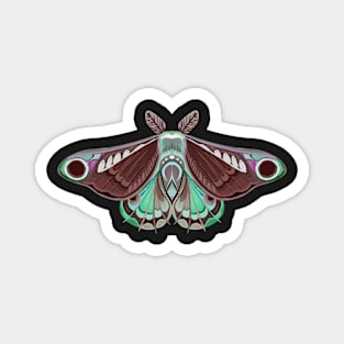 Moth sticker brown, green and pink pastel Magnet