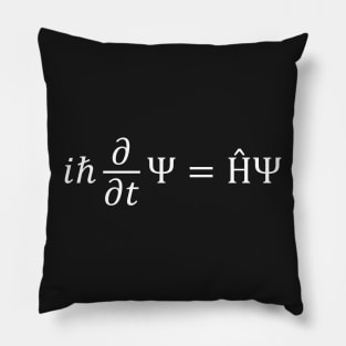 the Schrödinger Equation Pillow