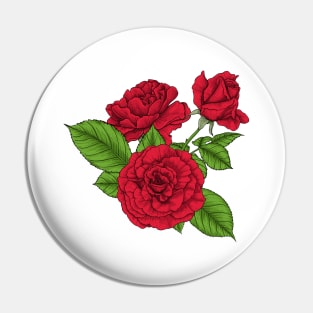 Bouquet of red roses Pin