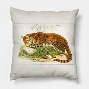 Leopard illustration Pillow