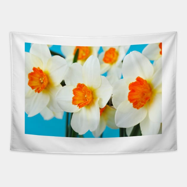 Narcissus  &#39;Barrett Browning&#39;   Division 3  Small-cupped  Daffodil Tapestry by chrisburrows