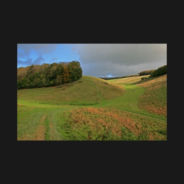 Arundel Park by RedHillDigital