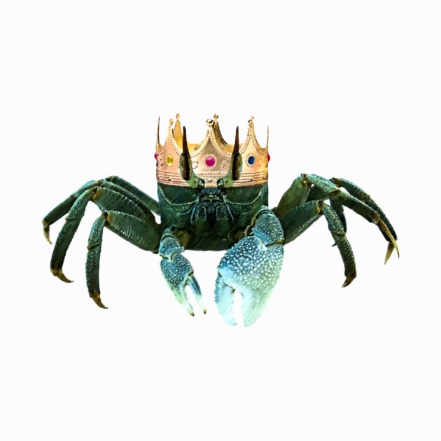 King Crab by Dominyknax