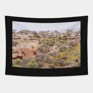 Olduvai Gorge, Seregeti Tapestry