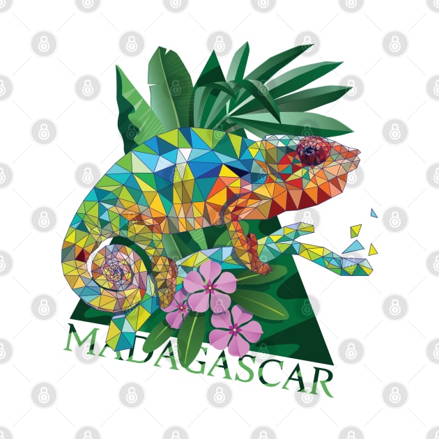 Madagascar by kataszep