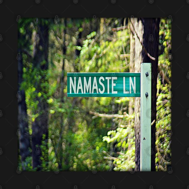 Namaste Lane by kchase