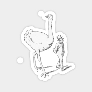 Kosmogonia Ostrich Magnet