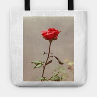 Red Red Rose Tote