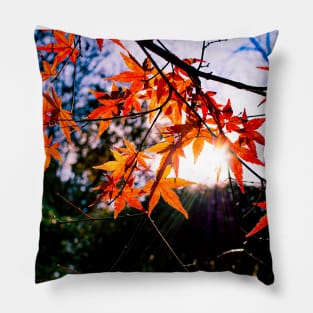 Photography - The sun tries to reach me Pillow