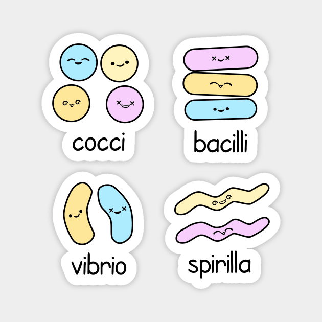 Kawaii Bacteria Classification Magnet by donovanh