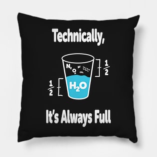 Funny Science Humor Pillow