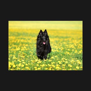 Belgian Shepherd T-Shirt