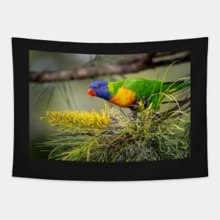 Rainbow Lorikeet with Grevillea Tapestry