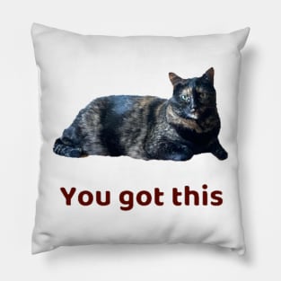 You Got This Pillow