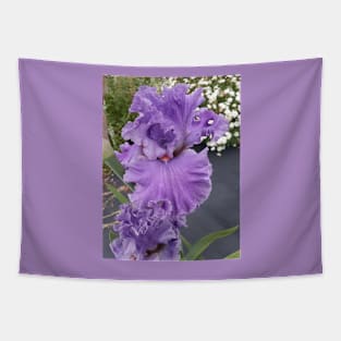 Iris Flower Lavender Purple Tapestry