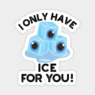 I Only Have Ice For You Cute Eye Pun Magnet