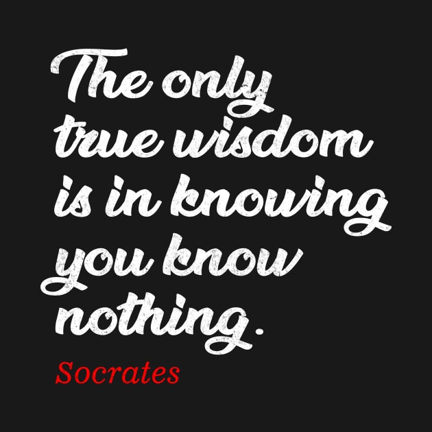 The only true wisdom is in knowing you know nothing - socrates by TerasaBerat