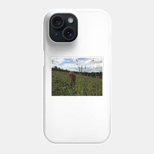 Scottish Highland Cattle Calf 1472 Phone Case