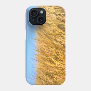 Frank Lake Marshland illustration Phone Case