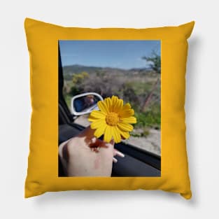 Spring time Pillow