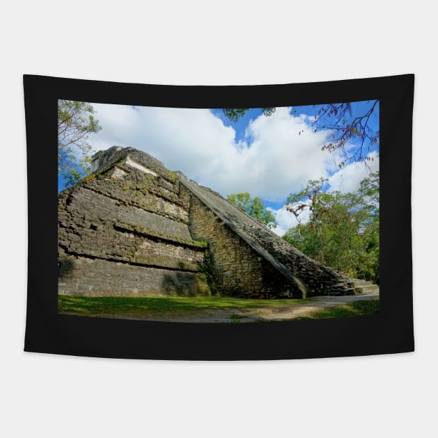 Guatemala - site archéologique de Tikal Tapestry by franck380