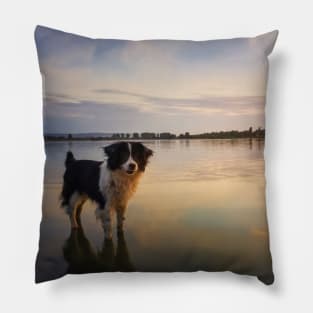 soul reflection Pillow