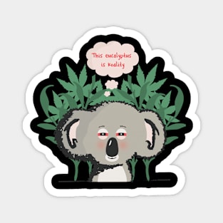 High Koala_for mids Magnet